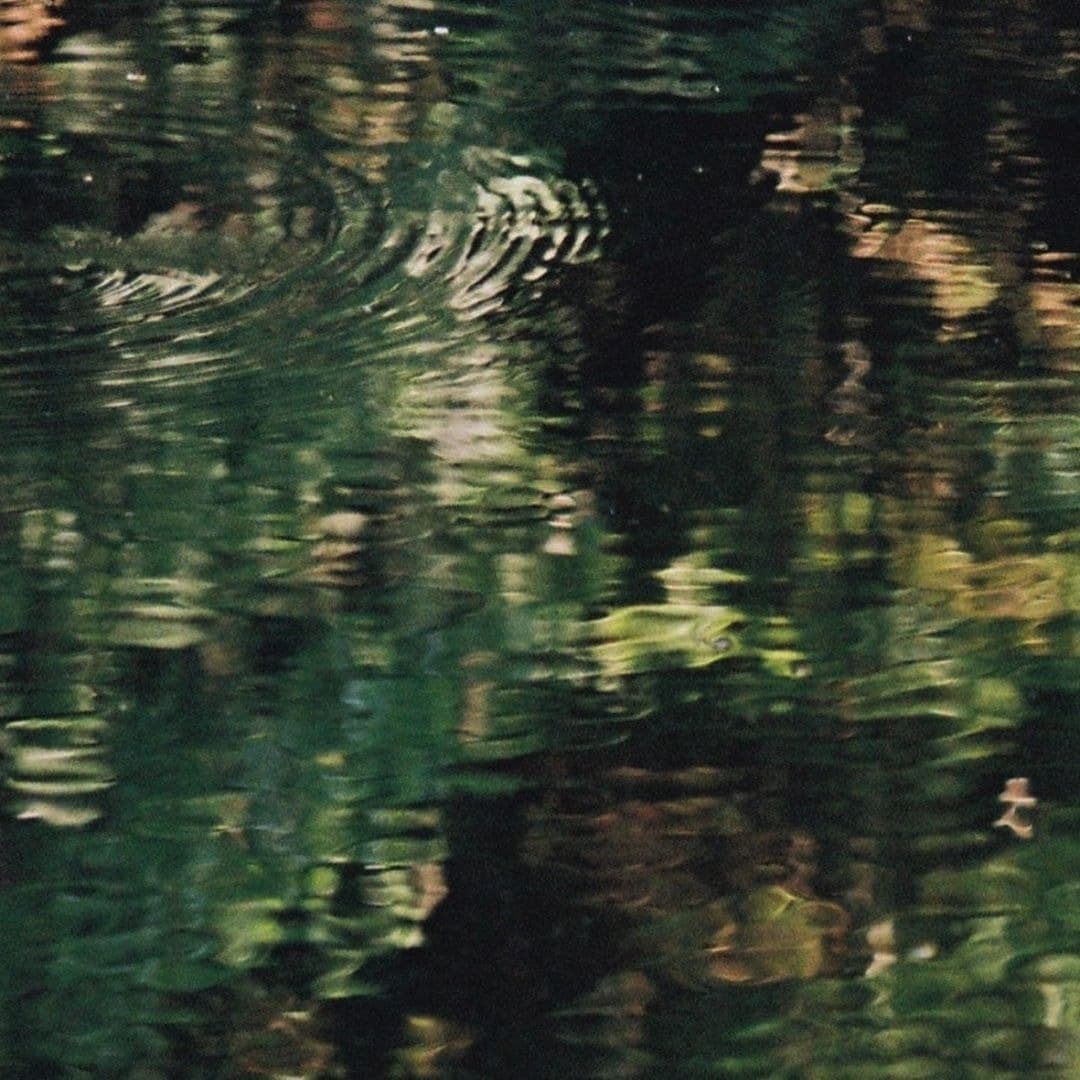 Seava architectural detail